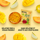 Bob Snail Fruit Jelly - Apple Mango Pumpkin Chia 5-Pack - Snack