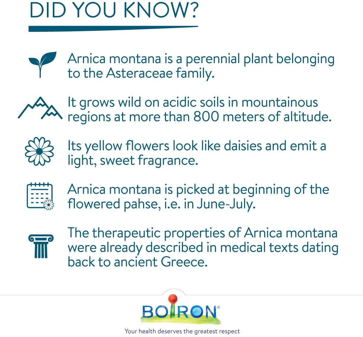 Boiron Arnica Montana Blister 30CH - 3 tubes - Homeopathy