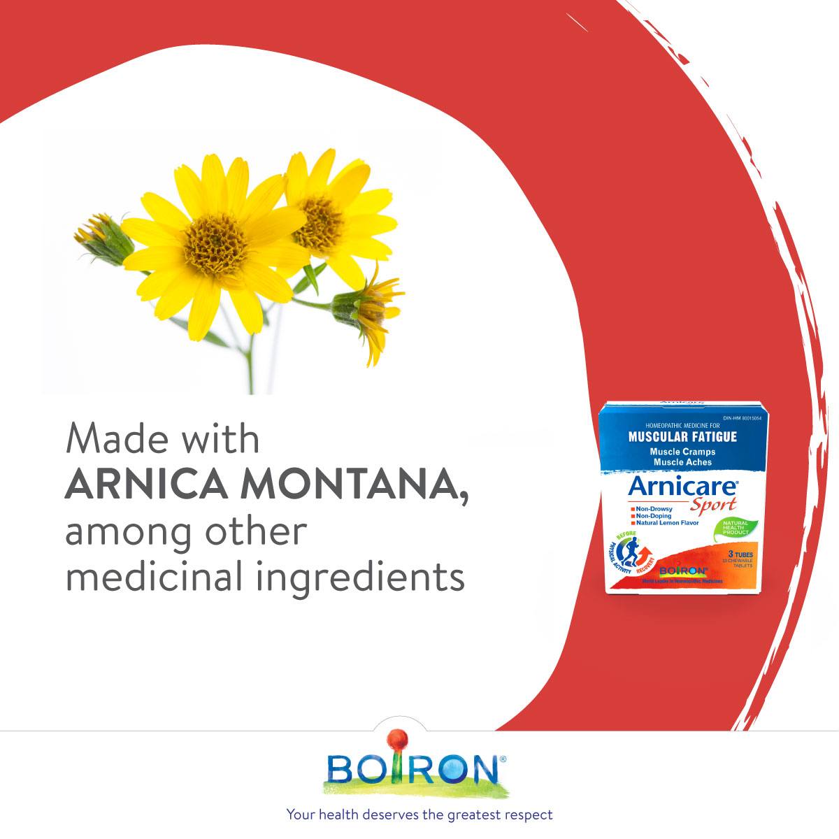 Boiron Arnicare Sport 33 chewable tablets