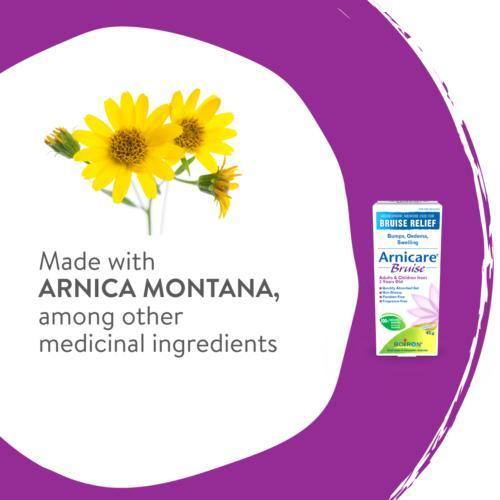 Boiron Arnicare Bruise - 45g - - Skin Care