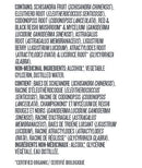 Botanica Immune Strength Liquid Herb - 50ml - Herbals