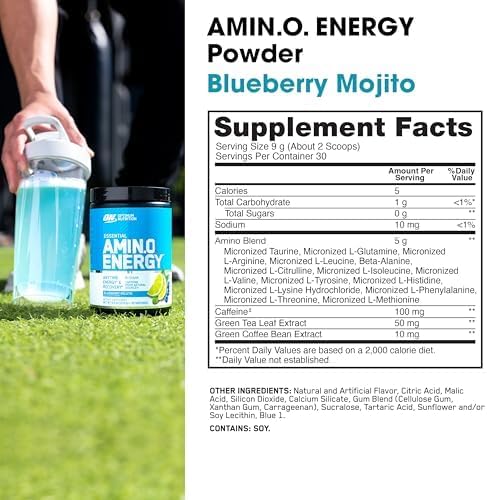 Optimum Nutrition Essential AMIN.O. Energy - Blueberry Mojito 30 Servings - Amino Acids