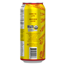Guayaki Organic Yerba Mate Can - Revel Berry 458ml - Energy Drinks