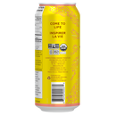 Guayaki Yerba Mate Energy Drink - Peach Revival 12-pack - Energy Drinks