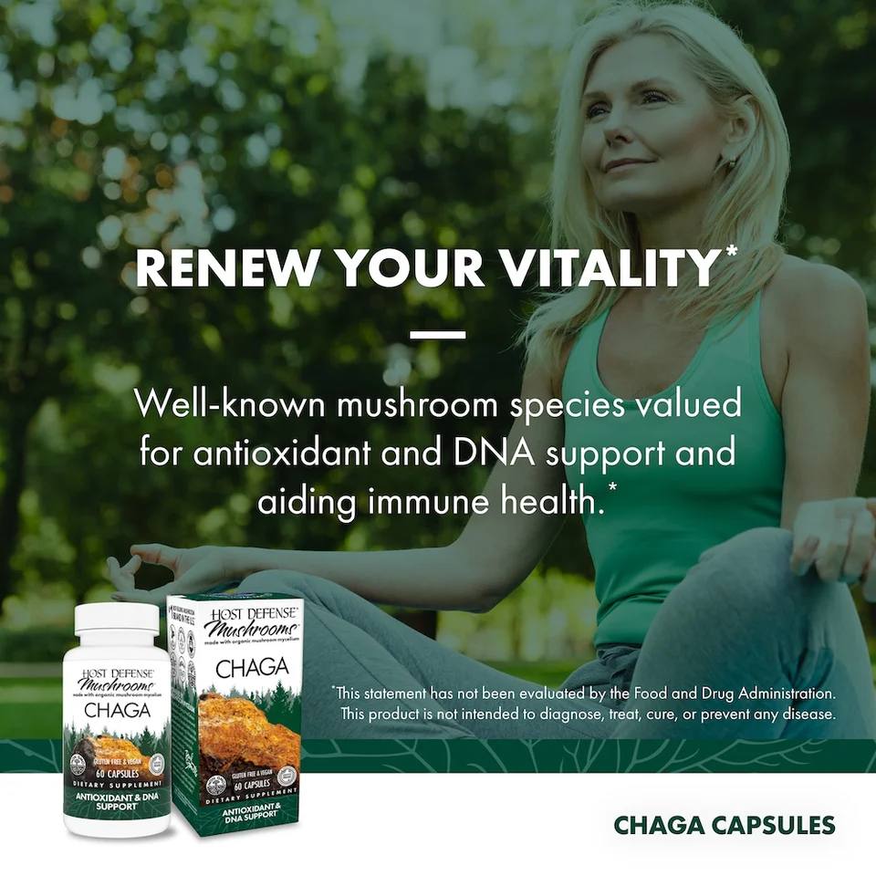 Host Defense Chaga - 60 capsules - Adaptogen