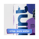 Hint Water Infused With Essence - Blackberry 12-Pack - Water