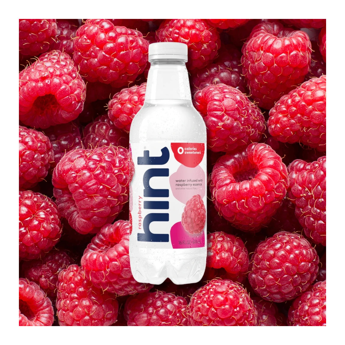 Hint Water Infused With Essence Raspberry / 16 fl. oz / 10/13/2024