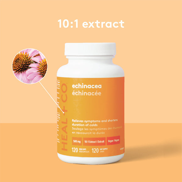 Heal + Co. Échinacée (extrait 10:1) 500 mg