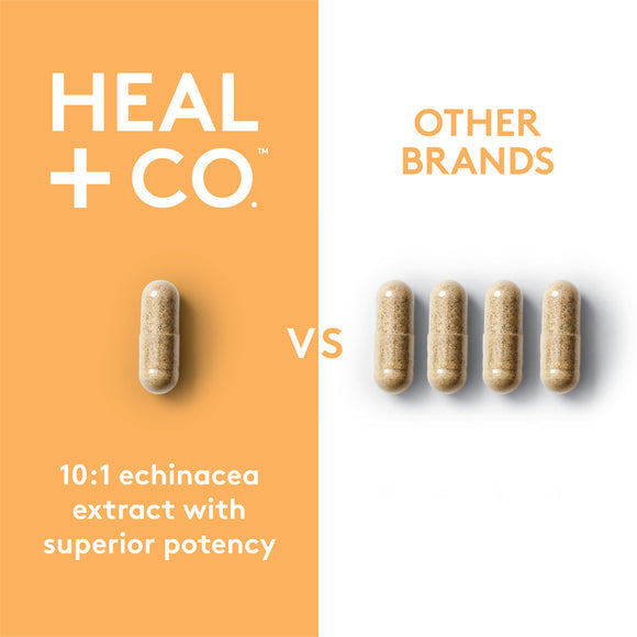 Heal + Co. Échinacée (extrait 10:1) 500 mg