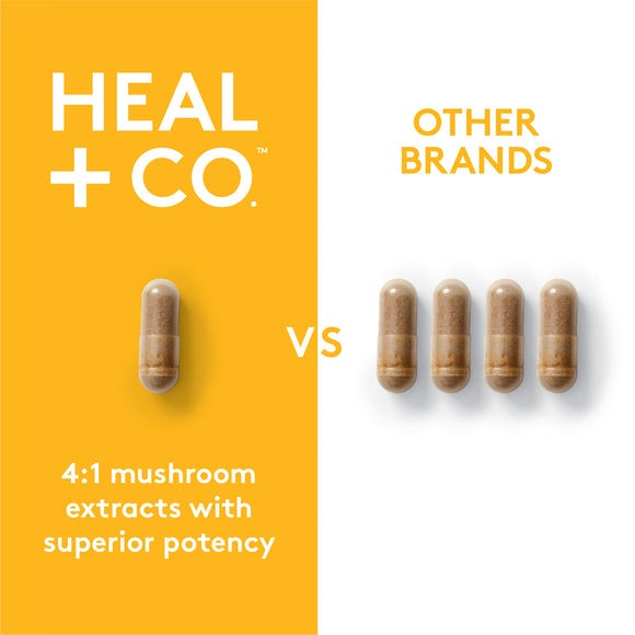 Heal + Co. Lion's Mane 500mg