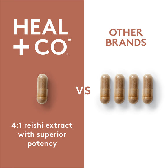 Heal + Co. Reishi 500mg