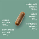 Heal + Co. Super Mushroom Complex - 120 vegetarian capsules - Adaptogen