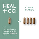 Heal + Co. Super Mushroom Complex - 120 vegetarian capsules - Adaptogen