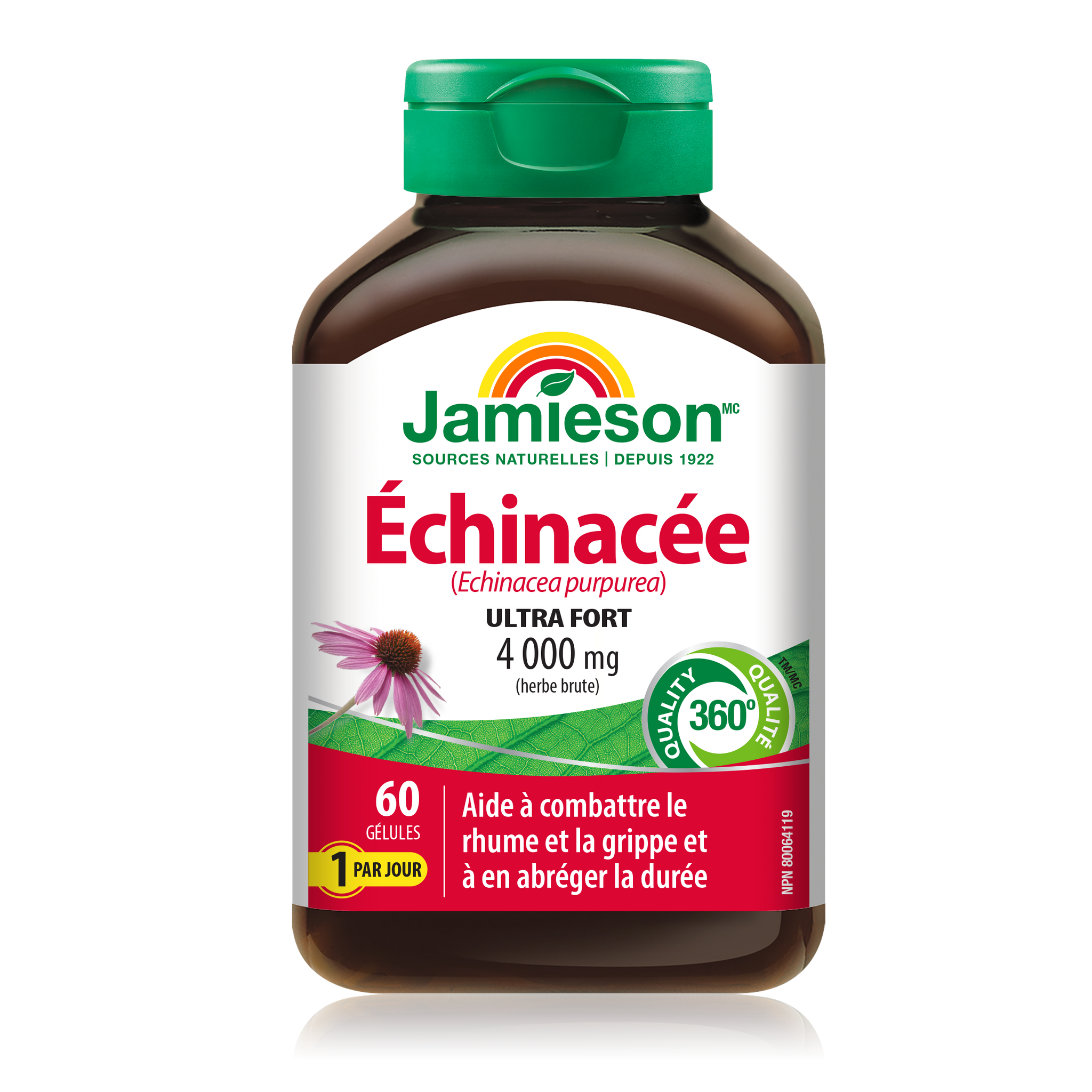Jamieson Echinacea 4,000mg - 60 Softgels - Herbals