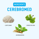 Herbasante Alterra Cerebromed - 60 Vegetarian Capsules - Brain Support