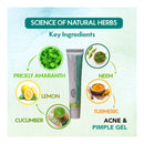 Mitavana Acne & Pimple Gel - Neem & Turmeric 30 g - - Skin Care