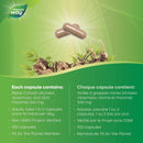 Nature's Way Black Cohosh Root - 100 vegetarian capsules - Herbals