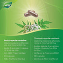 Nature's Way Valerian Root - 100 vegetarian capsules - Herbals