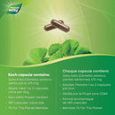 Nature's Way Gotu Kola - 180 vegetarian capsules - Herbals