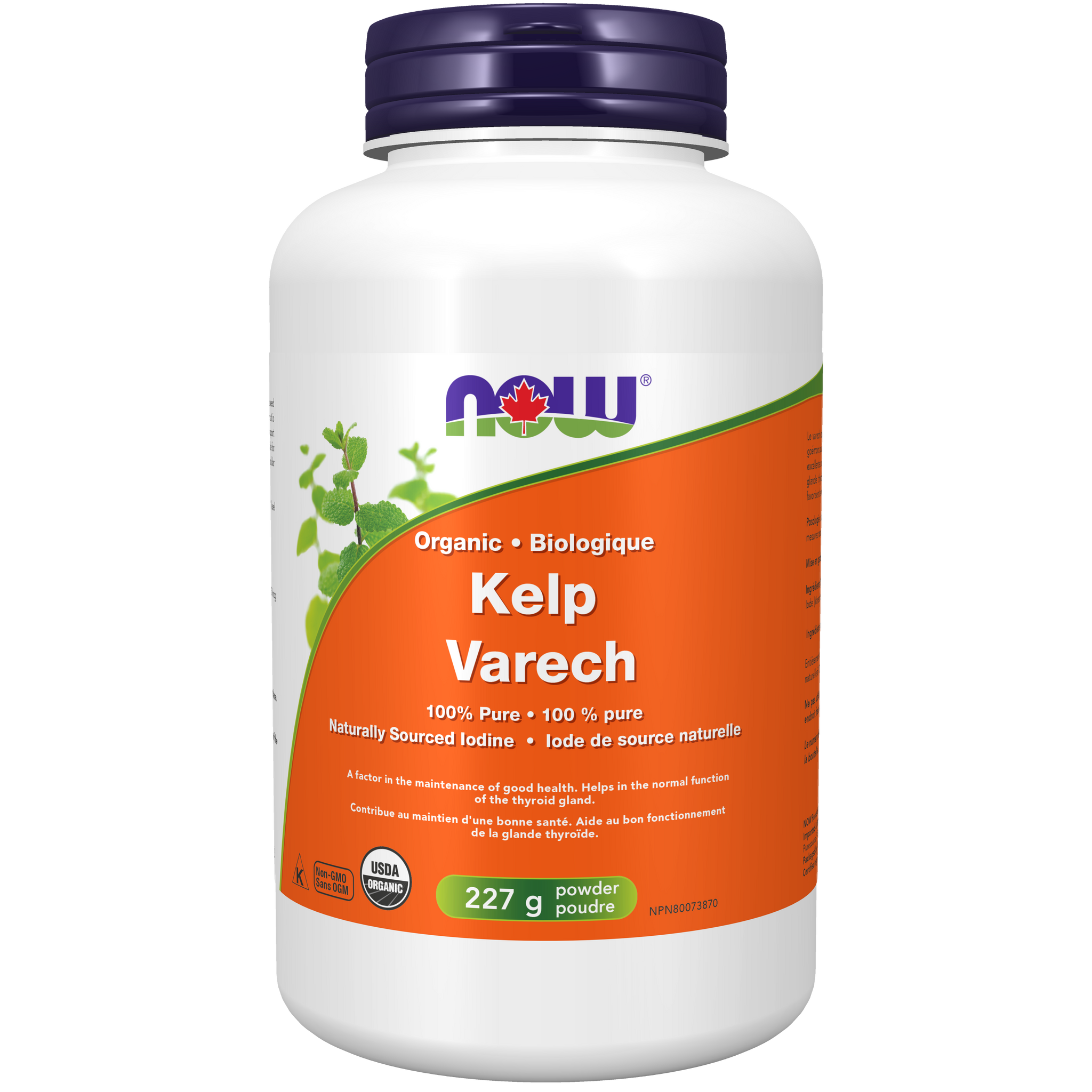 Jetzt Bio-Kelp-Varech-Pulver