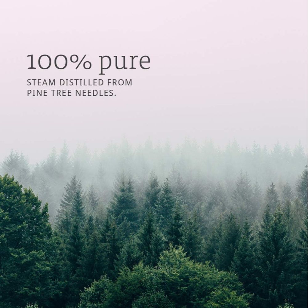 NOW Pine Needle Oil 30ml - Pine - Skin Care