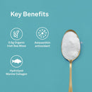 Organika Sea Beauty - 135g - Collagen