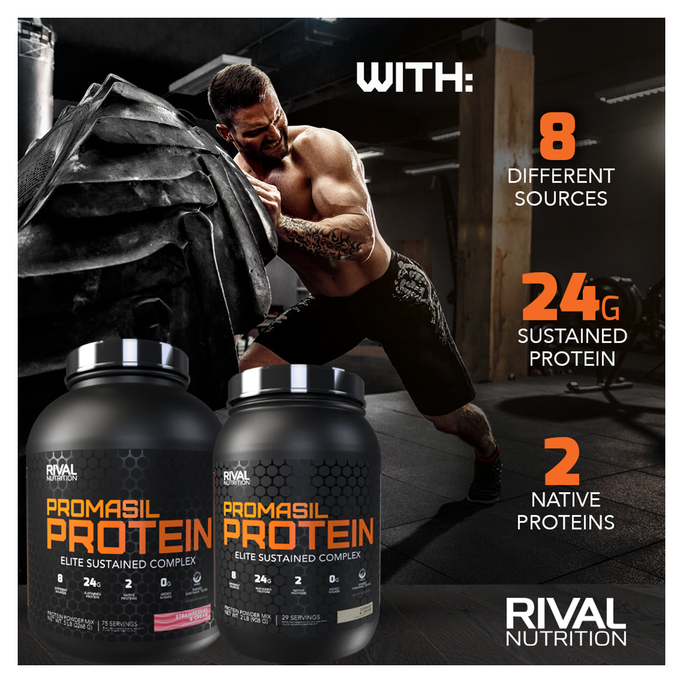 Rivalus Promasil Protein - Elite Multi-sourced Protein Blend Chocolate Peanut Butter / 2lbs