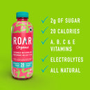 ROAR Organic Naturally Flavoured Vitamin Enhanced Beverage - Cucumber Watermelon 12-pack - Water