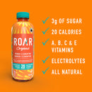 ROAR Organic Naturally Flavoured Vitamin Enhanced Beverage - Mango Clementine 12-pack - Water