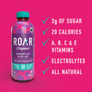 ROAR Organic Naturally Flavoured Vitamin Enhanced Beverage - Blueberry Acai 12-pack - Water