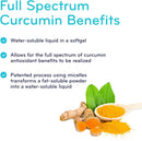 SISU Full Spectrum Curcumin (NovaSol) - 60 softgels - Antioxidant