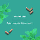 Heal + Co. Bloat Relief Complex - 120 capsules - Herbals