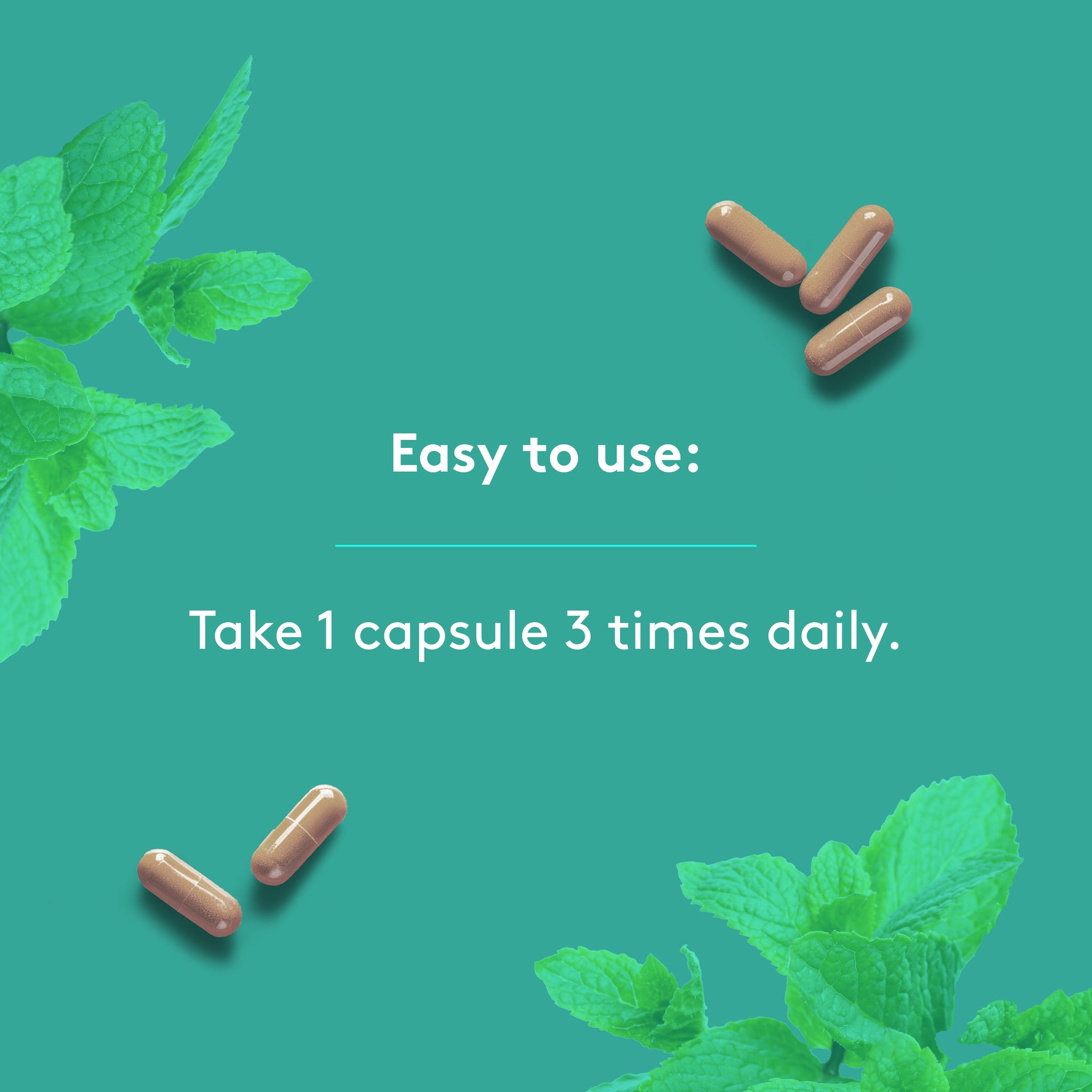 Heal + Co. Bloat Relief Complex - 120 capsules - Herbals