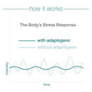 Youtheory Ashwagandha - 60 Capsules - Herbals