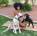 Scoria Yoga Mat - Botanicals 72" x 24" - Yoga Mat