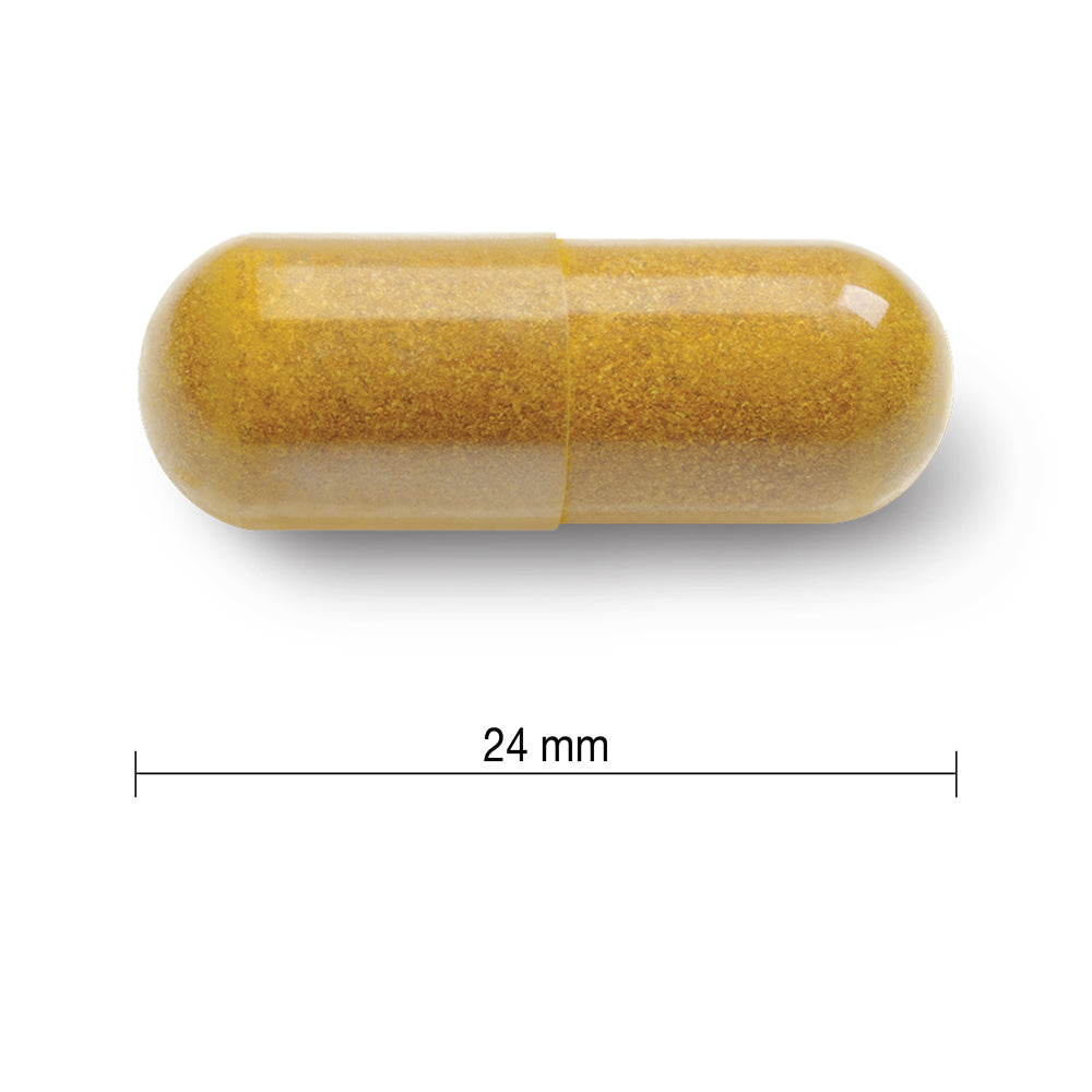Jamieson Curcumin Kurkuma 550 mg
