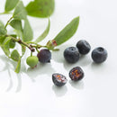 New Nordic Blue Berry Strong - 60 tablets - - Supplements