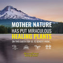 HealthForce SuperFoods - Truly Natural Vitamin C (with Cama Camu Berry, Whole Amla Berry and Acerola Cherry Extract) - - Vitamin C