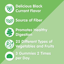 Herbaland Organic Fruit,Veg & Fiber Gummies For Adults - 60 Gummies Black Currant - Digestive Health