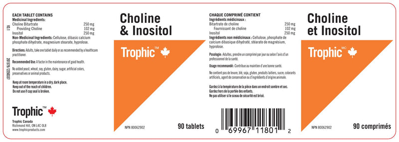 Choline & Inositol 500mg 90 Tablets