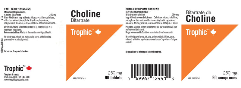 Choline Bitartrate 250mg 90 Tablets