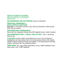 Organika Black Elderberry - 60 capsules - - Antioxidant