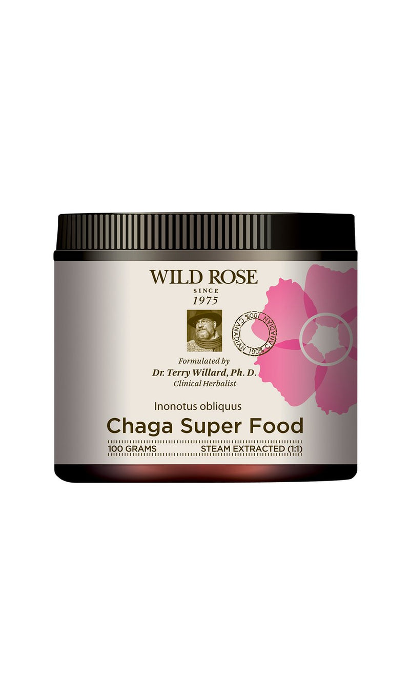 Chaga Super Food Powder 100g 100 g