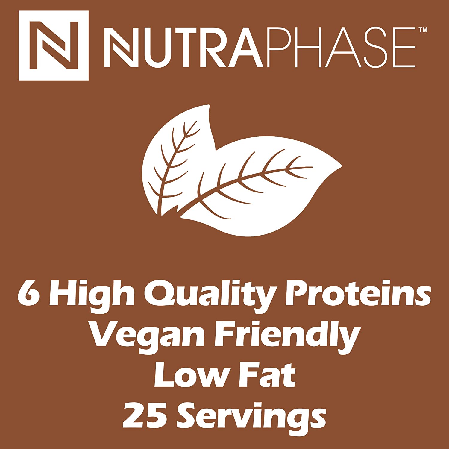 CLEAN PLANT BASED PROTEIN CHOCOLATE / 25