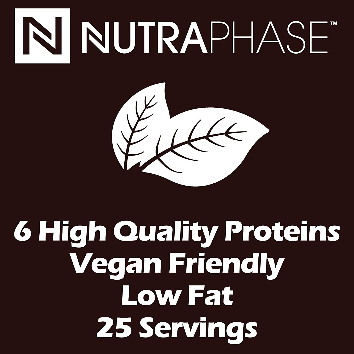 CLEAN PLANT BASED PROTEIN CHOCOLATE MOCHA / 25