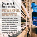 Solaray Organically Grown Fermented Mushroom Complete 600mg - - Adaptogen