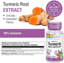 Solaray Turmeric Root Extract 300mg - - Supplements