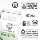 Sunwarrior Clean Greens & Protein - Chocolate 175g - - Protein Powder