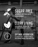 BioSteel Sports Drink - Mixed Berry 500ml - Energy Drinks