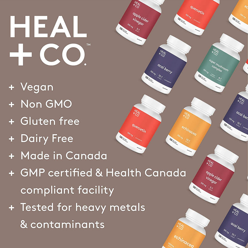 Heal + Co. 8 Mushroom Immunity Tincture 50ml / Chocolate